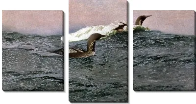 Картина Плавающие птицы (Swimming birds)