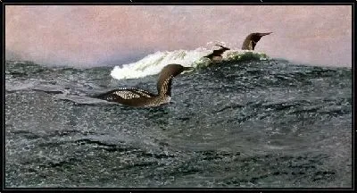 Картина Плавающие птицы (Swimming birds)