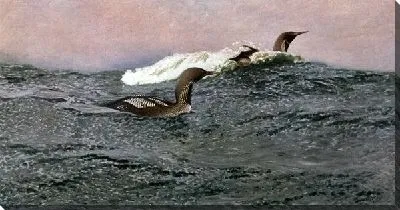 Картина Плавающие птицы (Swimming birds)