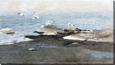 Картина Чайки на пляже (Seagulls on the beach)