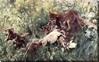 Лисье семейство (Fox family)