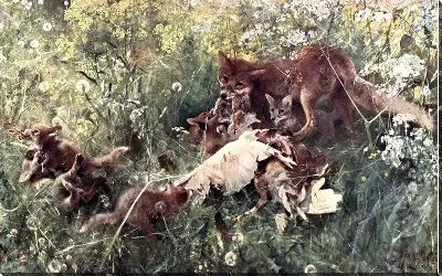 картина
