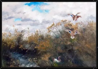 Гра Андерсон (Grasander)