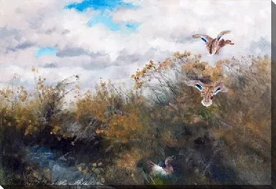 Гра Андерсон (Grasander)