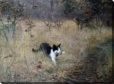 Кошка охотится на птиц (The cat hunts birds)