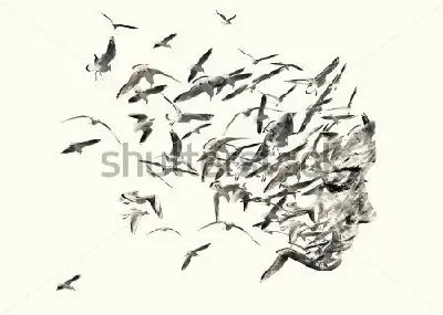 Плакат Двойная экспозиция -  лицо женщины и чайки. 