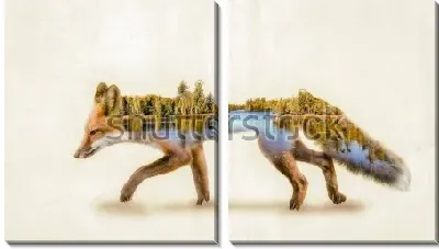 Модульная картина Двойная экспозиция рыжая Лиса и среда ее обитания