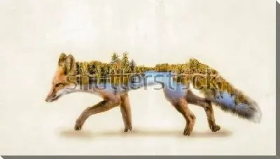 Постер Двойная экспозиция рыжая Лиса и среда ее обитания