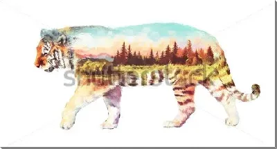 картина