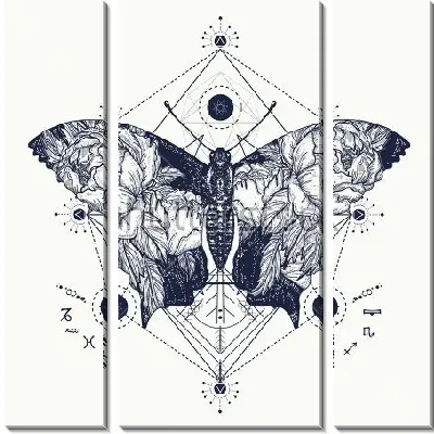 Модульная картина Двойная экспозиция - бабочка и цвет