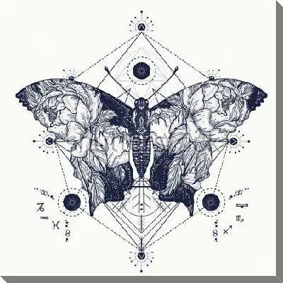 Двойная экспозиция - бабочка и цвет