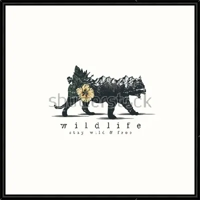 картина
