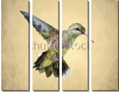 Модульная картина Двойная экспозиция - колибри и сад
