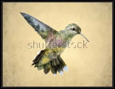 Картина Двойная экспозиция - колибри и сад