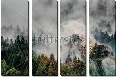 Модульная картина Двойная экспозиция - дикий медведь и сосновый лес