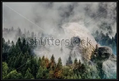 Картина Двойная экспозиция - дикий медведь и сосновый лес