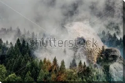 Постер Двойная экспозиция - дикий медведь и сосновый лес