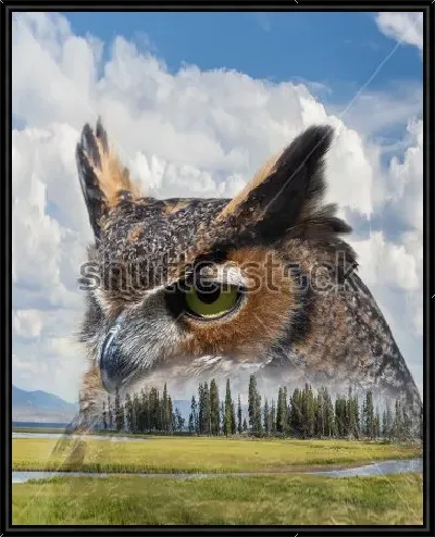 картина