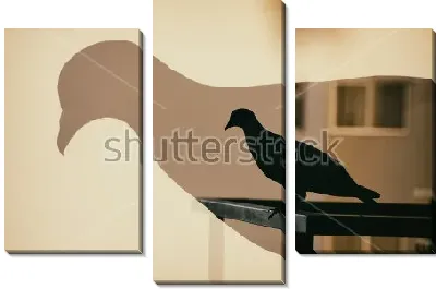 Модульная картина Двойная экспозиция - голубь