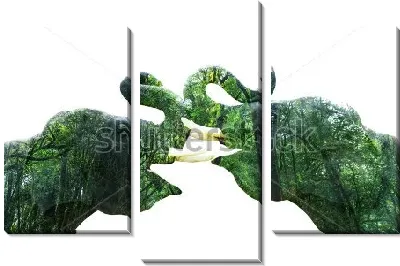 картина