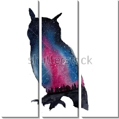 Модульная картина Двойная экспозиция - сова и звездная ночь