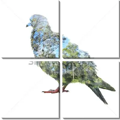 Модульная картина Двойная экспозиция - голубь и деревья