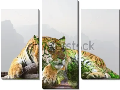 Модульная картина Двойная экспозиция - тигр на ветке