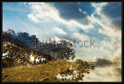 картина