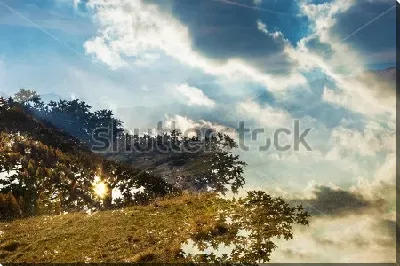 картина