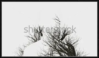 Картина Двойная экспозиция -  силуэт человека и ветви дерева