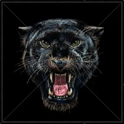 Картина Ягуар, чёрная пантера