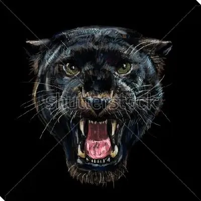 Ягуар, чёрная пантера