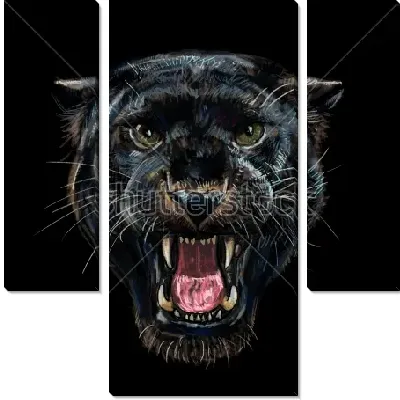 Ягуар, чёрная пантера