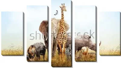 Африканские животные .