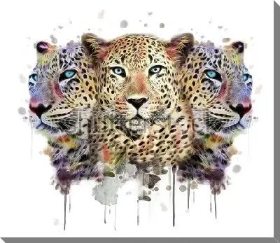 Постер Леопарды