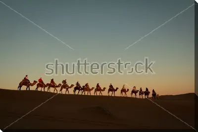 Караван кораблей пустыни