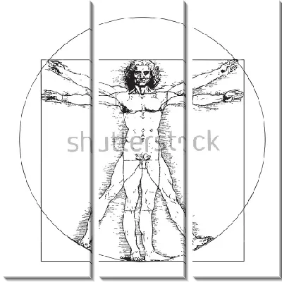 Витрувианский человек Леонардо да Винчи
