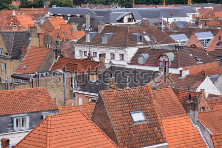 Картина Вид на черепичные крыши старых домов в Брюгге (Бельгия) 
