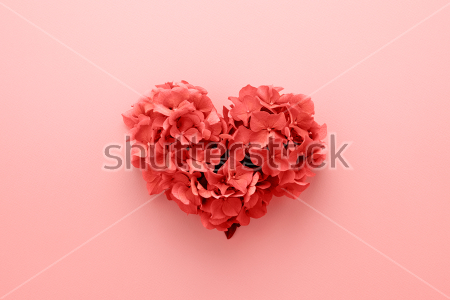 Картина Нежное сердце из лепестков цветов на розовом фоне 