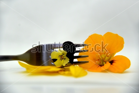 Картина Композиция с вилкой, жёлтыми лепестками, цветками настурции и трёхцветной фиалки 