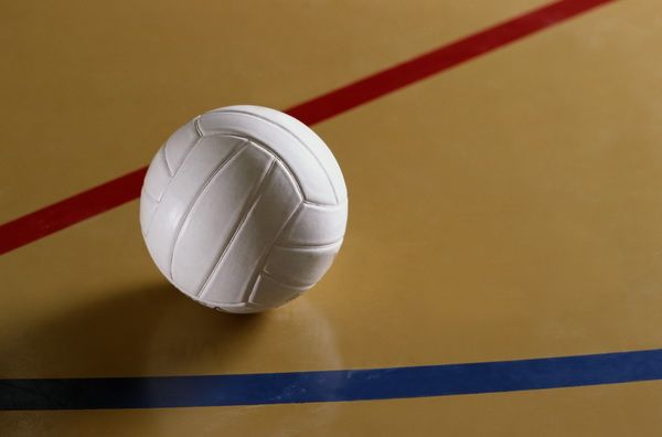Картина Волейбольный мяч 