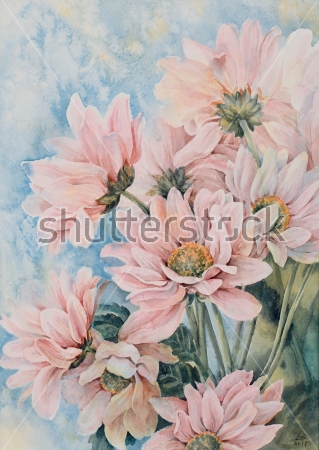 Картина Акварельная иллюстрация розовых хризантем 