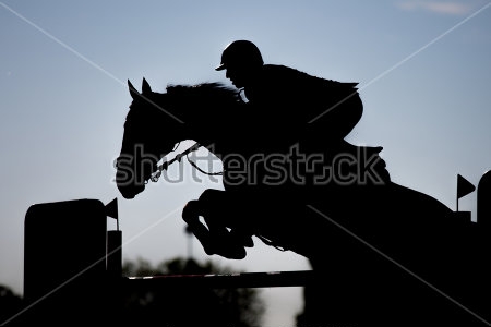 Картина Динамичный силуэт всадника на коне в прыжке через барьер 