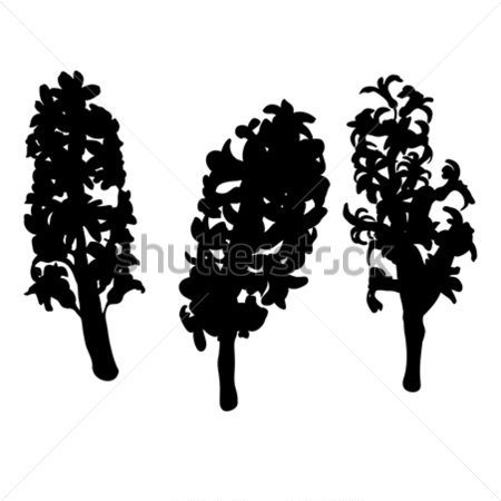 Картина маслом Чёрные силуэты цветов гиацинта на белом фоне 