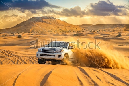 Картина Гонки на внедорожниках в пустыне 