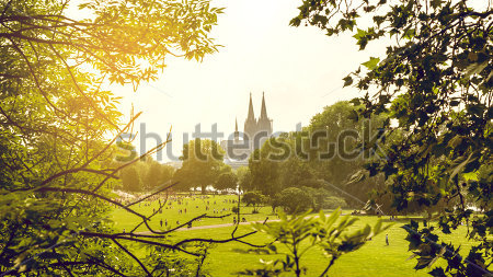 Картина Летний пейзаж Кёльна с видом на башни Кёльнского собора из Центрального парка 
