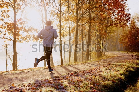 Картина Человек совершает утреннюю пробежку в парке осенью 