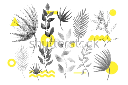 Картина маслом Сочетание серо-чёрных растений и жёлтых геометрических фигур на белом фоне 