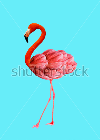 Картина Яркий коллаж с розовым фламинго на голубом фоне с лепестками цветов 