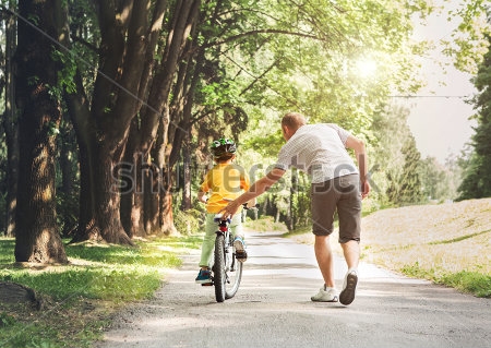 Картина Папа учит сына кататься на велосипеде в красивом парке 